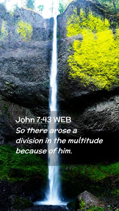 Picture 02 - John 7:43 WEB Mobile Phone Wallpaper - So there arose a division in the multitude - Mobile Bible Verse Wallpaper