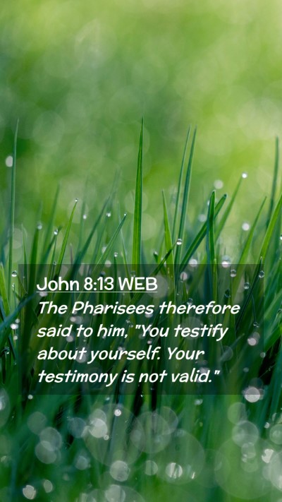 Picture 02 - John 8:13 WEB Mobile Phone Wallpaper - The Pharisees therefore said to him, 