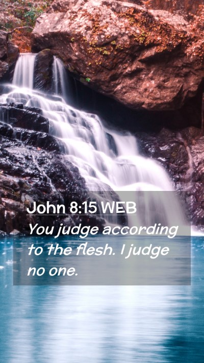 Picture 02 - John 8:15 WEB Mobile Phone Wallpaper - You judge according to the flesh. I judge no - Mobile Bible Verse Wallpaper