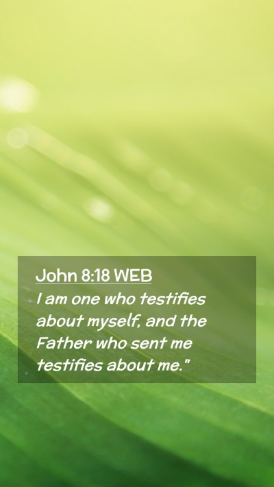 Picture 02 - John 8:18 WEB Mobile Phone Wallpaper - I am one who testifies about myself, and the - Mobile Bible Verse Wallpaper