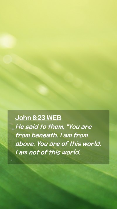 Picture 02 - John 8:23 WEB Mobile Phone Wallpaper - He said to them, 
