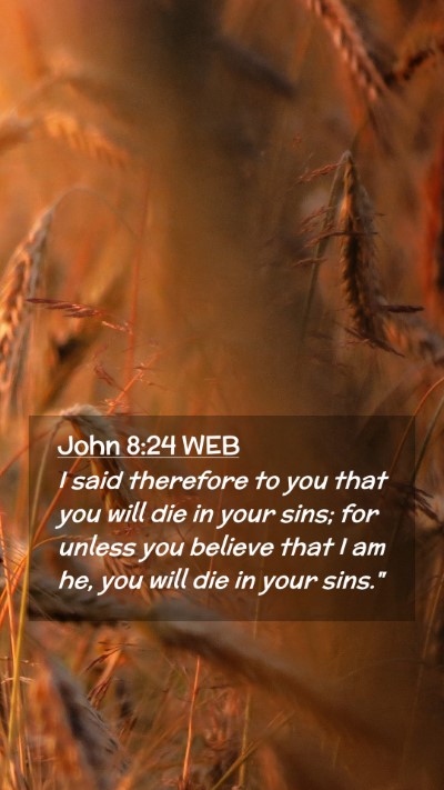 Picture 02 - John 8:24 WEB Mobile Phone Wallpaper - I said therefore to you that you will die in your - Mobile Bible Verse Wallpaper