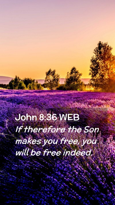Picture 02 - John 8:36 WEB Mobile Phone Wallpaper - If therefore the Son makes you free, you will be - Mobile Bible Verse Wallpaper