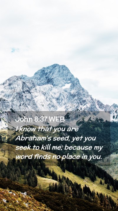 Picture 02 - John 8:37 WEB Mobile Phone Wallpaper - I know that you are Abraham's seed, yet you seek - Mobile Bible Verse Wallpaper
