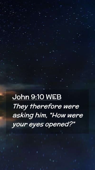 Picture 02 - John 9:10 WEB Mobile Phone Wallpaper - They therefore were asking him, 