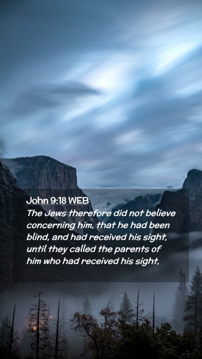 Picture 02 - John 9:18 WEB Mobile Phone Wallpaper - The Jews therefore did not believe concerning - Mobile Bible Verse Wallpaper