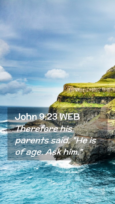 Picture 02 - John 9:23 WEB Mobile Phone Wallpaper - Therefore his parents said, 