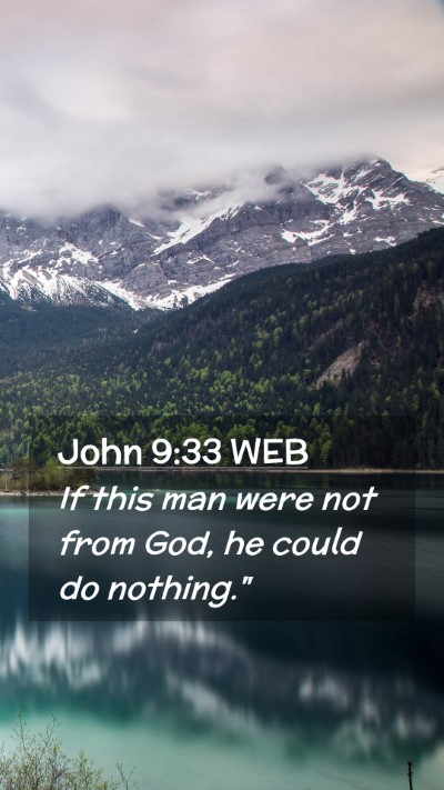 Picture 02 - John 9:33 WEB Mobile Phone Wallpaper - If this man were not from God, he could do - Mobile Bible Verse Wallpaper
