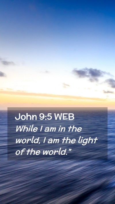 Picture 02 - John 9:5 WEB Mobile Phone Wallpaper - While I am in the world, I am the light of the - Mobile Bible Verse Wallpaper