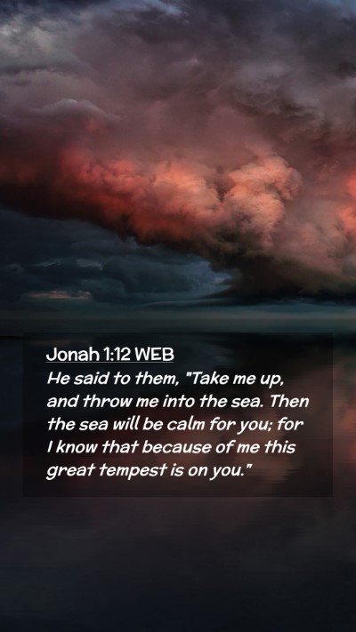 Picture 02 - Jonah 1:12 WEB Mobile Phone Wallpaper - He said to them, 