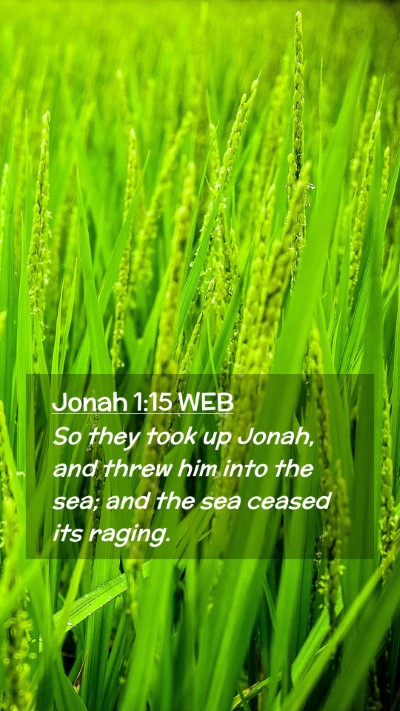 Picture 02 - Jonah 1:15 WEB Mobile Phone Wallpaper - So they took up Jonah, and threw him into the - Mobile Bible Verse Wallpaper