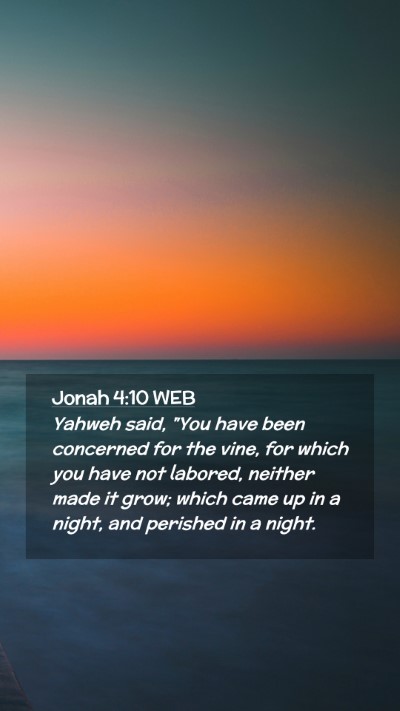 Picture 02 - Jonah 4:10 WEB Mobile Phone Wallpaper - Yahweh said, 
