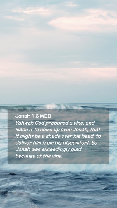 Picture 02 - Jonah 4:6 WEB Mobile Phone Wallpaper - Yahweh God prepared a vine, and made it to come - Mobile Bible Verse Wallpaper