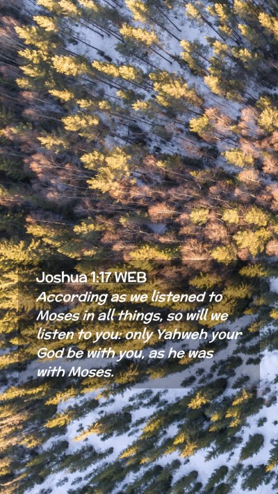 Picture 02 - Joshua 1:17 WEB Mobile Phone Wallpaper - According as we listened to Moses in all things, - Mobile Bible Verse Wallpaper