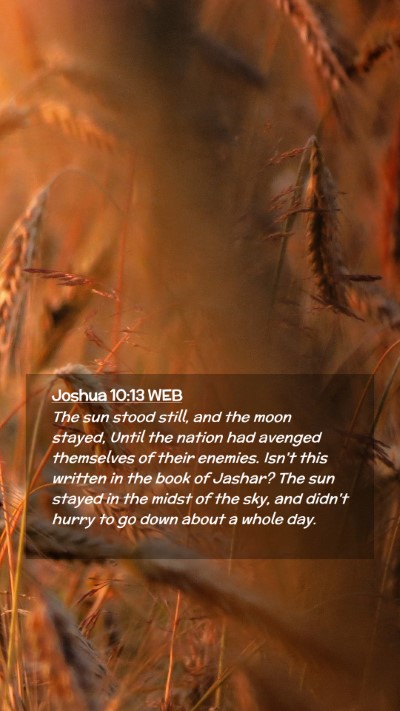 Picture 02 - Joshua 10:13 WEB Mobile Phone Wallpaper - The sun stood still, and the moon stayed, Until - Mobile Bible Verse Wallpaper