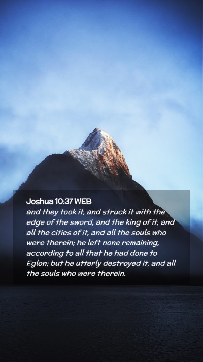 Picture 02 - Joshua 10:37 WEB Mobile Phone Wallpaper - and they took it, and struck it with the edge of - Mobile Bible Verse Wallpaper