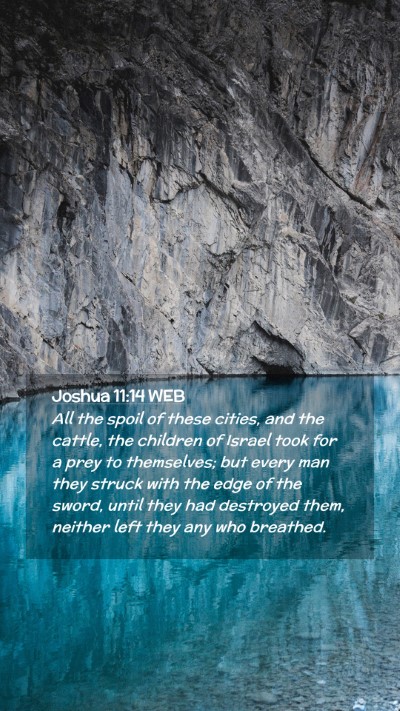 Picture 02 - Joshua 11:14 WEB Mobile Phone Wallpaper - All the spoil of these cities, and the cattle, - Mobile Bible Verse Wallpaper