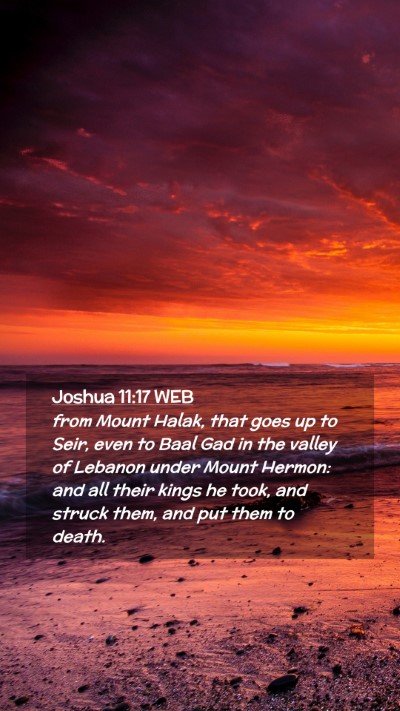 Picture 02 - Joshua 11:17 WEB Mobile Phone Wallpaper - from Mount Halak, that goes up to Seir, even to - Mobile Bible Verse Wallpaper