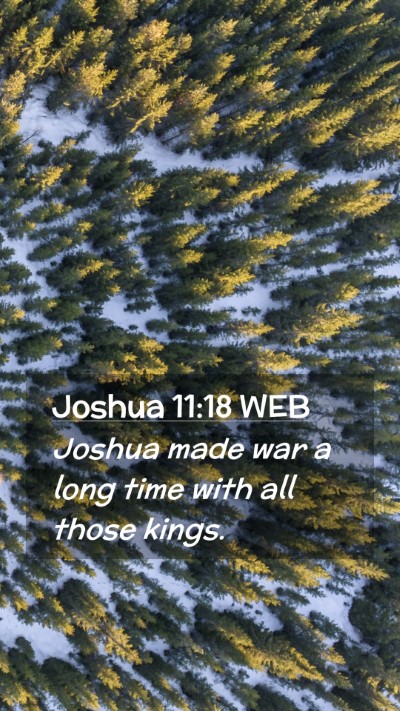 Picture 02 - Joshua 11:18 WEB Mobile Phone Wallpaper - Joshua made war a long time with all those - Mobile Bible Verse Wallpaper