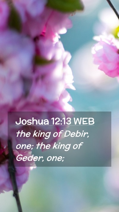 Picture 02 - Joshua 12:13 WEB Mobile Phone Wallpaper - the king of Debir, one; the king of Geder, - Mobile Bible Verse Wallpaper