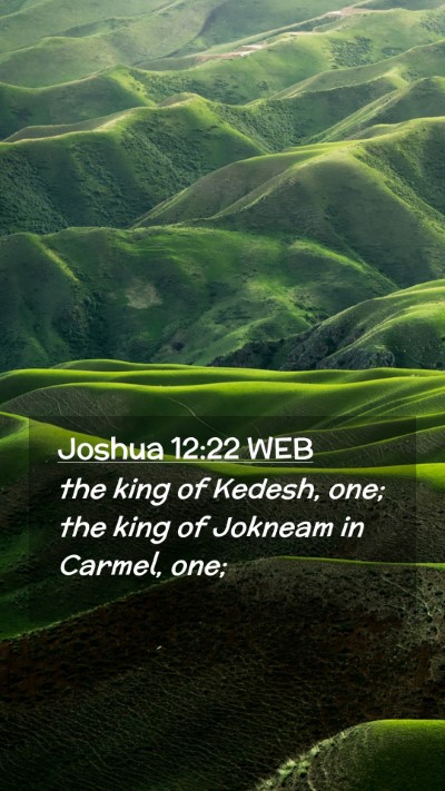 Picture 02 - Joshua 12:22 WEB Mobile Phone Wallpaper - the king of Kedesh, one; the king of Jokneam in - Mobile Bible Verse Wallpaper