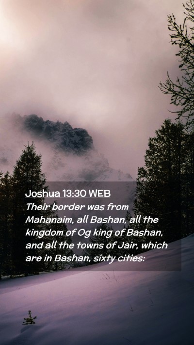 Picture 02 - Joshua 13:30 WEB Mobile Phone Wallpaper - Their border was from Mahanaim, all Bashan, all - Mobile Bible Verse Wallpaper