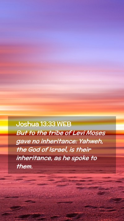 Picture 02 - Joshua 13:33 WEB Mobile Phone Wallpaper - But to the tribe of Levi Moses gave no - Mobile Bible Verse Wallpaper