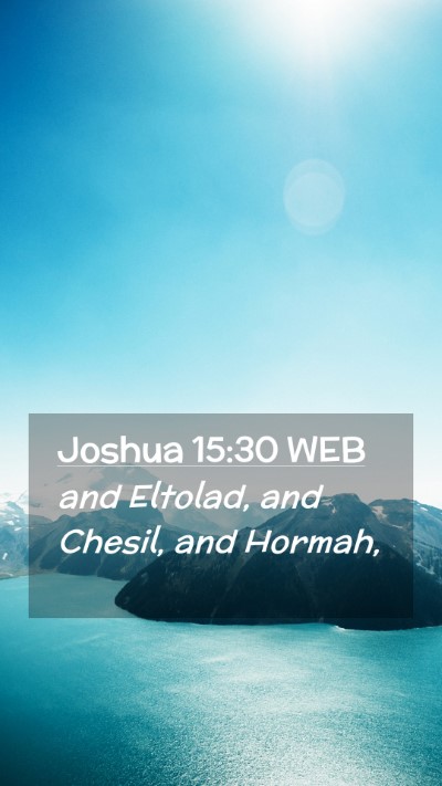 Picture 02 - Joshua 15:30 WEB Mobile Phone Wallpaper - and Eltolad, and Chesil, and - Mobile Bible Verse Wallpaper