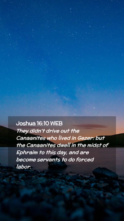 Picture 02 - Joshua 16:10 WEB Mobile Phone Wallpaper - They didn't drive out the Canaanites who lived in - Mobile Bible Verse Wallpaper
