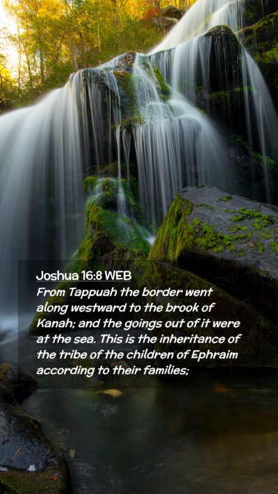 Picture 02 - Joshua 16:8 WEB Mobile Phone Wallpaper - From Tappuah the border went along westward to - Mobile Bible Verse Wallpaper