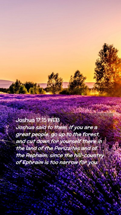 Picture 02 - Joshua 17:15 WEB Mobile Phone Wallpaper - Joshua said to them, If you are a great people, - Mobile Bible Verse Wallpaper
