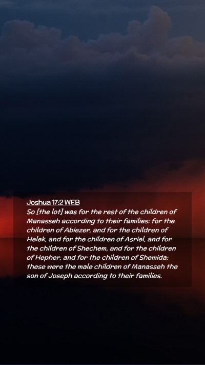 Picture 02 - Joshua 17:2 WEB Mobile Phone Wallpaper - So [the lot] was for the rest of the children of - Mobile Bible Verse Wallpaper