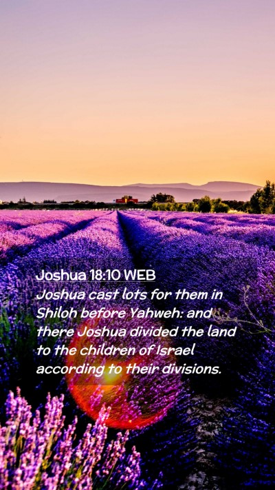 Picture 02 - Joshua 18:10 WEB Mobile Phone Wallpaper - Joshua cast lots for them in Shiloh before - Mobile Bible Verse Wallpaper
