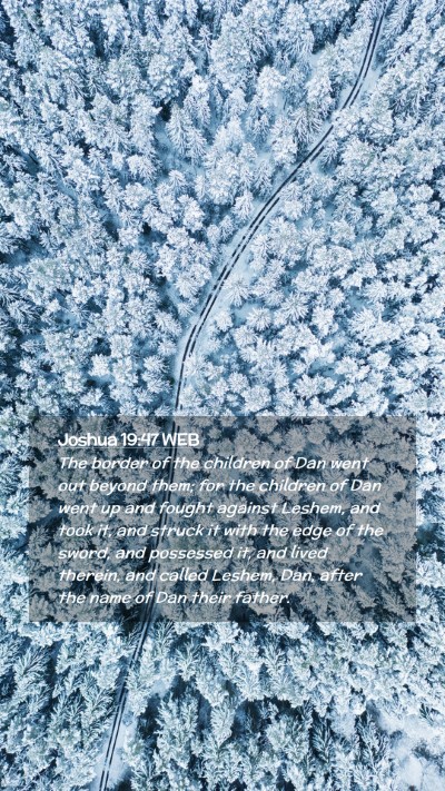 Picture 02 - Joshua 19:47 WEB Mobile Phone Wallpaper - The border of the children of Dan went out beyond - Mobile Bible Verse Wallpaper