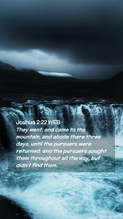Picture 02 - Joshua 2:22 WEB Mobile Phone Wallpaper - They went, and came to the mountain, and abode - Mobile Bible Verse Wallpaper