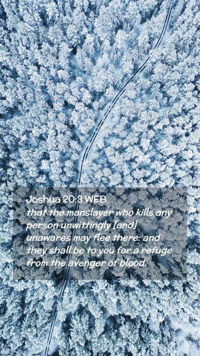 Picture 02 - Joshua 20:3 WEB Mobile Phone Wallpaper - that the manslayer who kills any person - Mobile Bible Verse Wallpaper