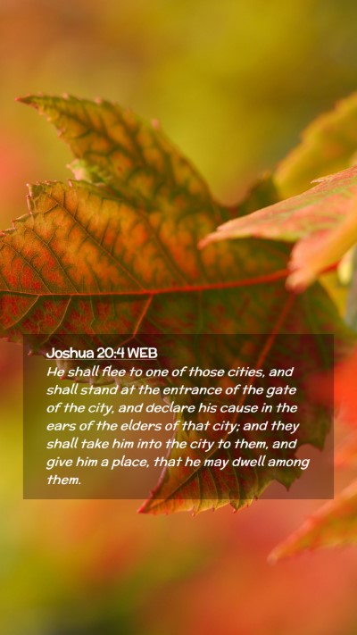 Picture 02 - Joshua 20:4 WEB Mobile Phone Wallpaper - He shall flee to one of those cities, and shall - Mobile Bible Verse Wallpaper
