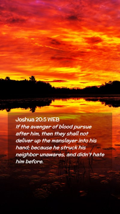 Picture 02 - Joshua 20:5 WEB Mobile Phone Wallpaper - If the avenger of blood pursue after him, then - Mobile Bible Verse Wallpaper