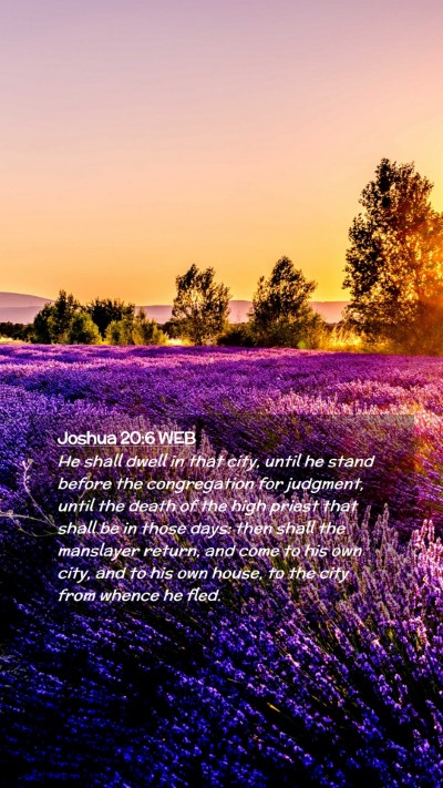 Picture 02 - Joshua 20:6 WEB Mobile Phone Wallpaper - He shall dwell in that city, until he stand - Mobile Bible Verse Wallpaper