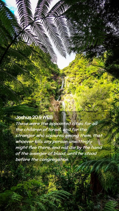 Picture 02 - Joshua 20:9 WEB Mobile Phone Wallpaper - These were the appointed cities for all the - Mobile Bible Verse Wallpaper