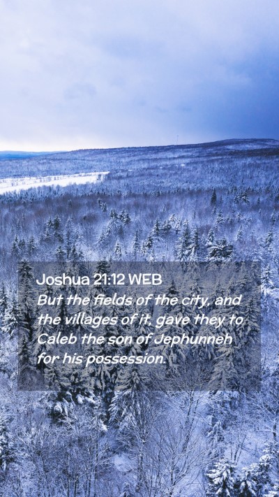 Picture 02 - Joshua 21:12 WEB Mobile Phone Wallpaper - But the fields of the city, and the villages of - Mobile Bible Verse Wallpaper