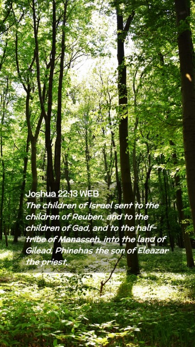 Picture 02 - Joshua 22:13 WEB Mobile Phone Wallpaper - The children of Israel sent to the children of - Mobile Bible Verse Wallpaper