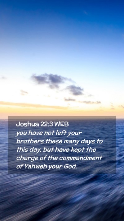 Picture 02 - Joshua 22:3 WEB Mobile Phone Wallpaper - you have not left your brothers these many days - Mobile Bible Verse Wallpaper