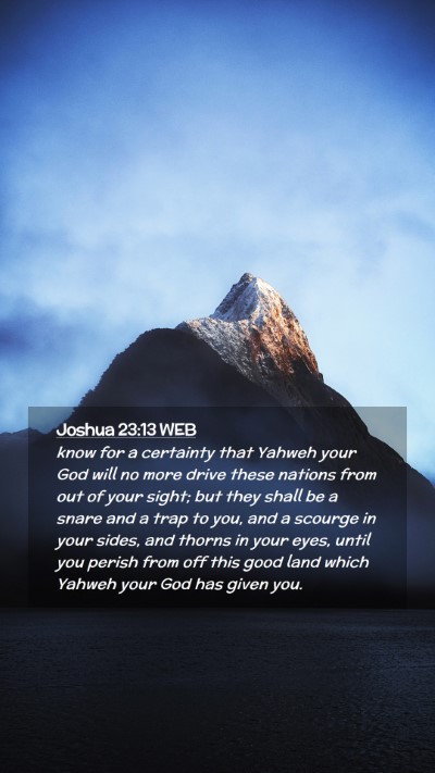 Picture 02 - Joshua 23:13 WEB Mobile Phone Wallpaper - know for a certainty that Yahweh your God will no - Mobile Bible Verse Wallpaper