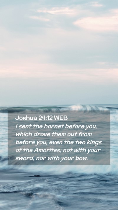 Picture 02 - Joshua 24:12 WEB Mobile Phone Wallpaper - I sent the hornet before you, which drove them - Mobile Bible Verse Wallpaper