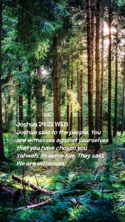 Picture 02 - Joshua 24:22 WEB Mobile Phone Wallpaper - Joshua said to the people, You are witnesses - Mobile Bible Verse Wallpaper