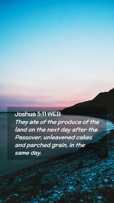 Picture 02 - Joshua 5:11 WEB Mobile Phone Wallpaper - They ate of the produce of the land on the next - Mobile Bible Verse Wallpaper
