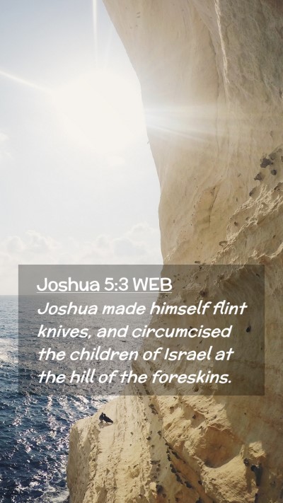 Picture 02 - Joshua 5:3 WEB Mobile Phone Wallpaper - Joshua made himself flint knives, and circumcised - Mobile Bible Verse Wallpaper