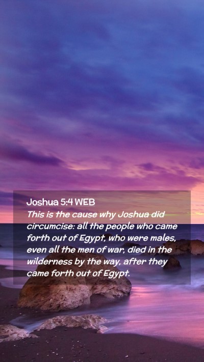 Picture 02 - Joshua 5:4 WEB Mobile Phone Wallpaper - This is the cause why Joshua did circumcise: all - Mobile Bible Verse Wallpaper
