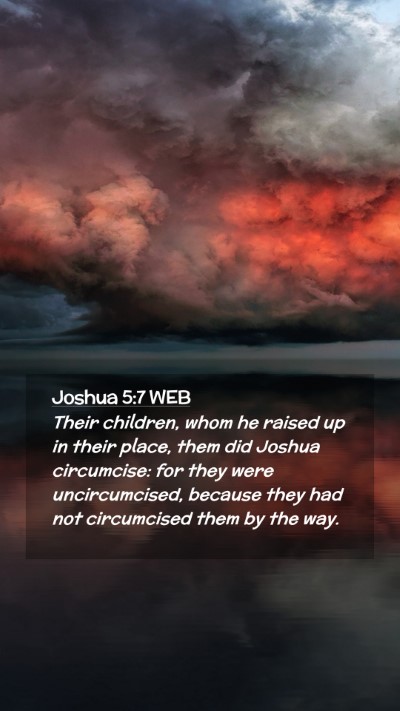 Picture 02 - Joshua 5:7 WEB Mobile Phone Wallpaper - Their children, whom he raised up in their place, - Mobile Bible Verse Wallpaper